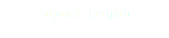 Soporte Técnico